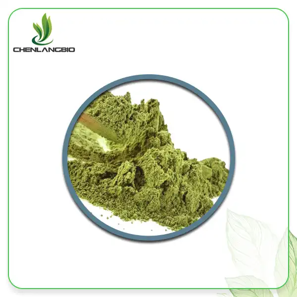 Avocado Extract Powder